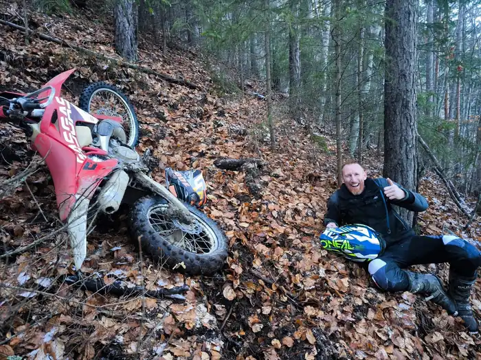 Riding through Bulgarian pine forest near Bansko